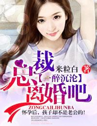 一醉沉沦·总裁,离婚吧!封面