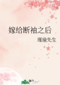 嫁给断袖之后封面