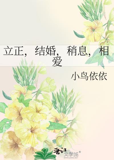 立正，结婚，稍息，相爱封面
