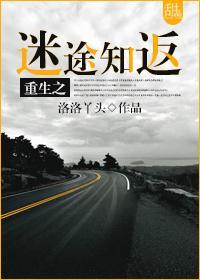 重生之迷途知返封面