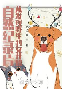 自然纪录片:从发现野生豹女开始封面