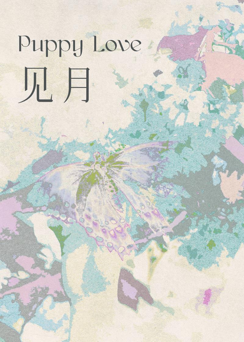 见月封面