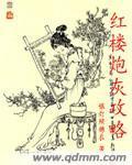 红楼炮灰攻略封面