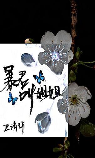 暴君，叫姐姐封面