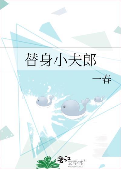 替身小夫郎封面