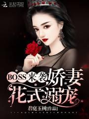 BOSS来袭:娇妻花式溺宠封面