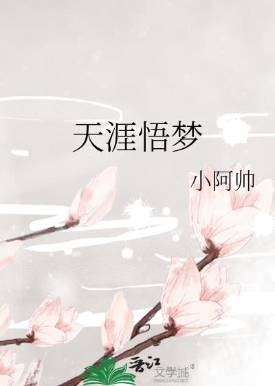 天涯悟梦封面