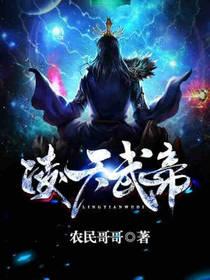 凌天武帝封面