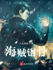 海贼钢骨封面