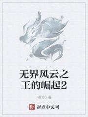 无界风云之王的崛起2封面