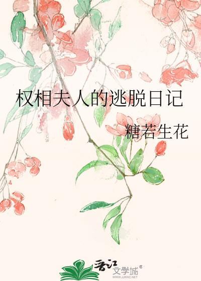权相夫人的逃脱日记封面