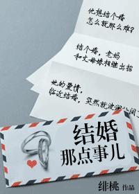 结婚那点事儿封面