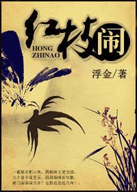 红枝闹封面