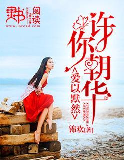 许你朝华，爱以默然封面