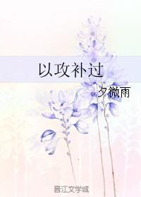以攻补过封面