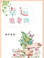 幸运追妻路封面