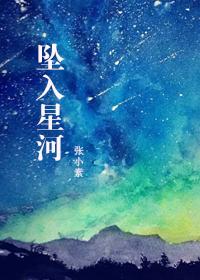 坠入星河封面