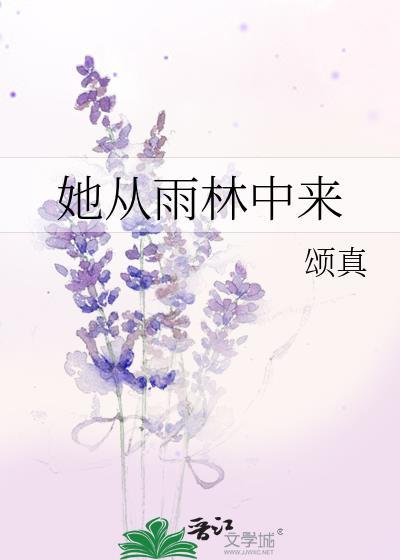 她从雨林中来封面