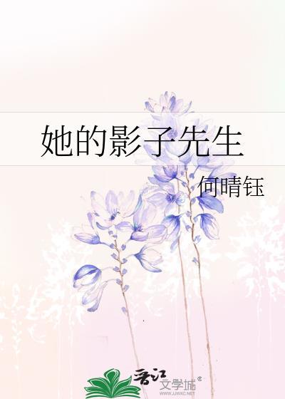 她的影子先生封面