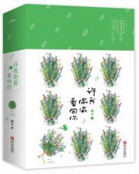 许我偷偷看向你封面