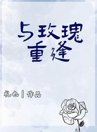 与玫瑰重逢封面