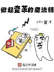 掀起变革的魔法师封面