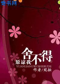 原谅我舍不得封面