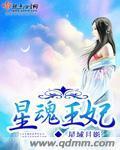 星魂王妃封面