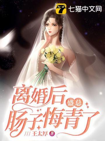离婚后盛总肠子悔青了封面
