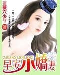 早安小娇妻封面