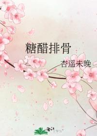 糖醋排骨封面