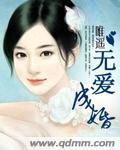 无爱成婚封面