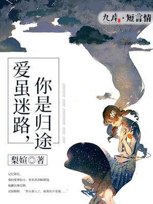 爱虽迷路，你是归途封面