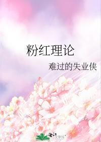 粉红理论封面