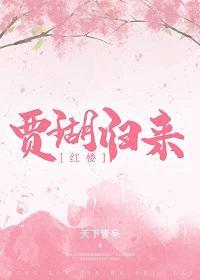 [红楼]贾瑚归来封面