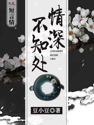 情深不知处封面