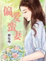 偏爱蛮妻封面