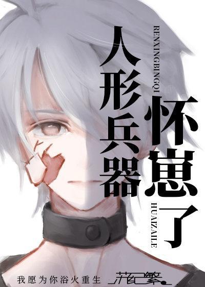 人形兵器怀崽了封面