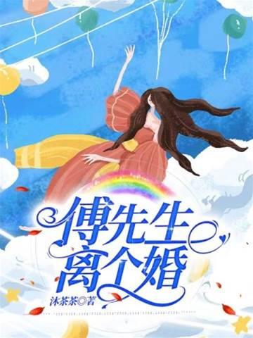 傅先生离个婚封面
