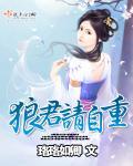 狼君请自重封面