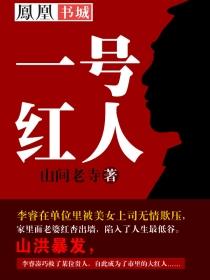 权术之王封面