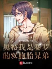 奥特我是赛罗的双胞胎兄弟封面