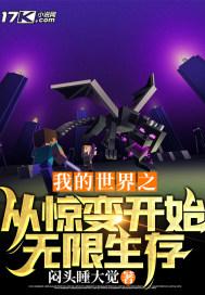我的世界之从惊变开始无限生存封面