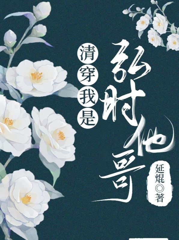 清穿我是弘时他哥封面