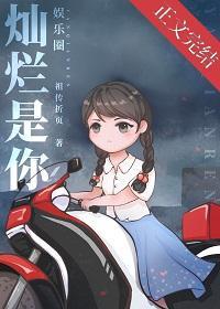 灿烂是你[娱乐圈]封面