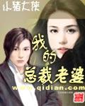 我的总裁老婆封面