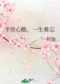 半世心酸,一生难忘封面