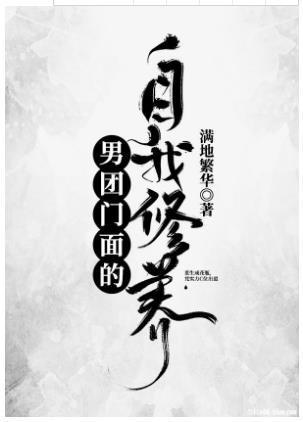 男团门面的自我修养封面