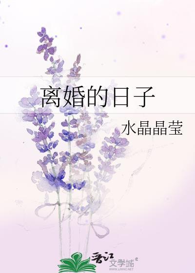 离婚的日子封面