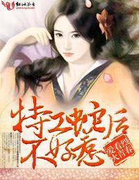 阴险宝宝,特工妈咪不好惹封面